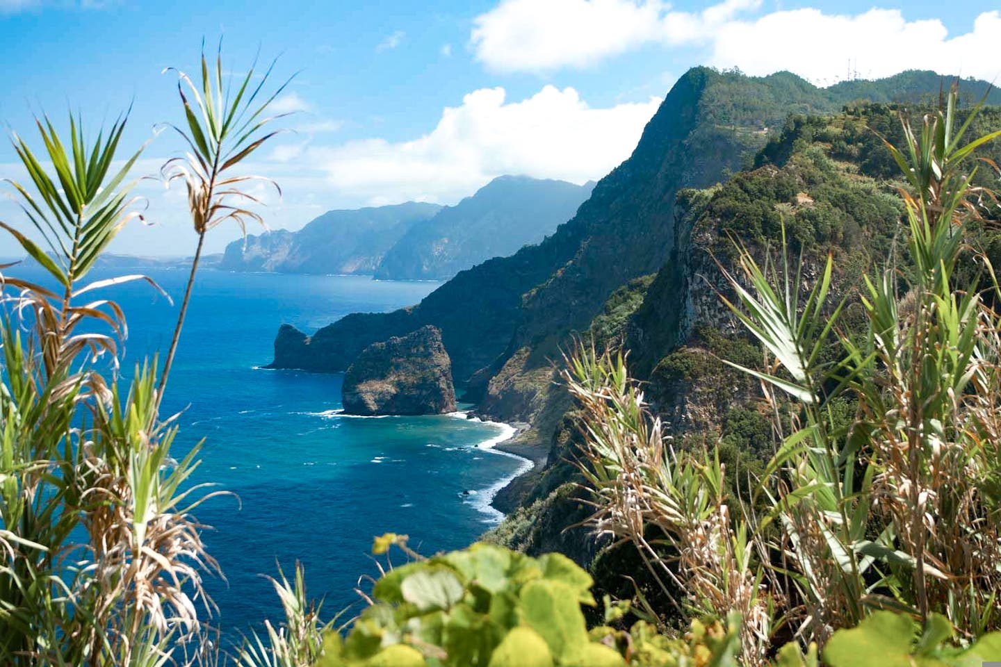 Madeira: die Blumeninsel