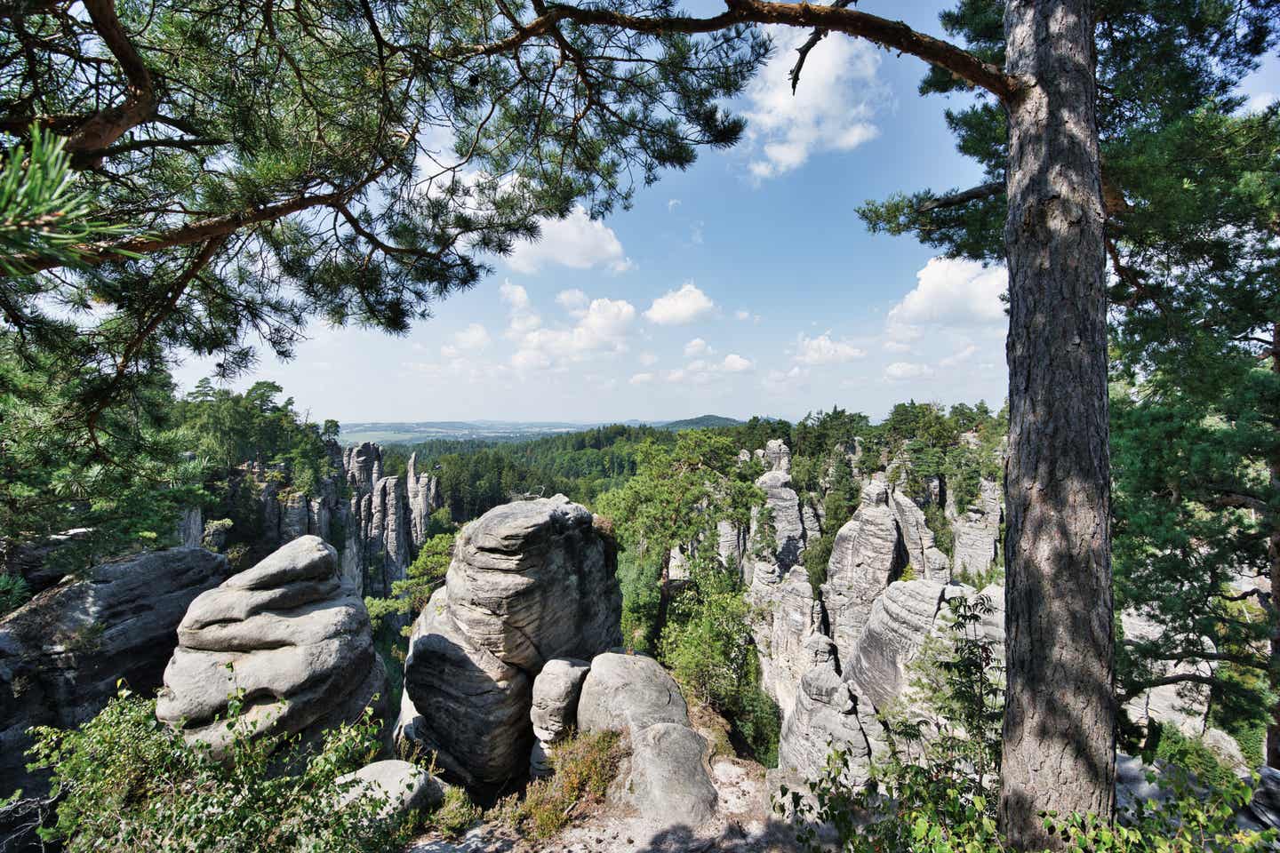 Ausblick auf die Natur Tschechiens