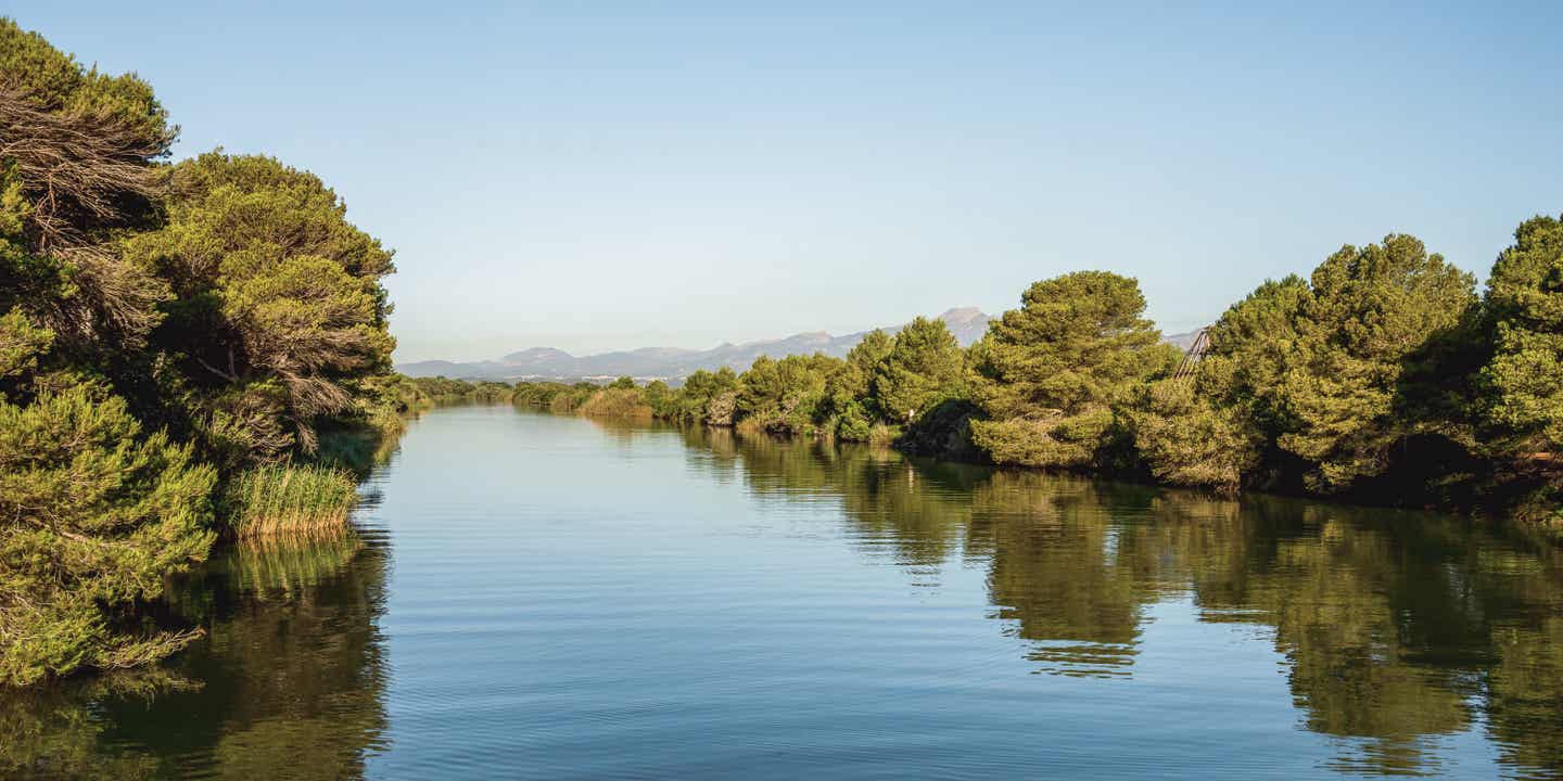 Urlaub in Alcúdia – s’Albufera