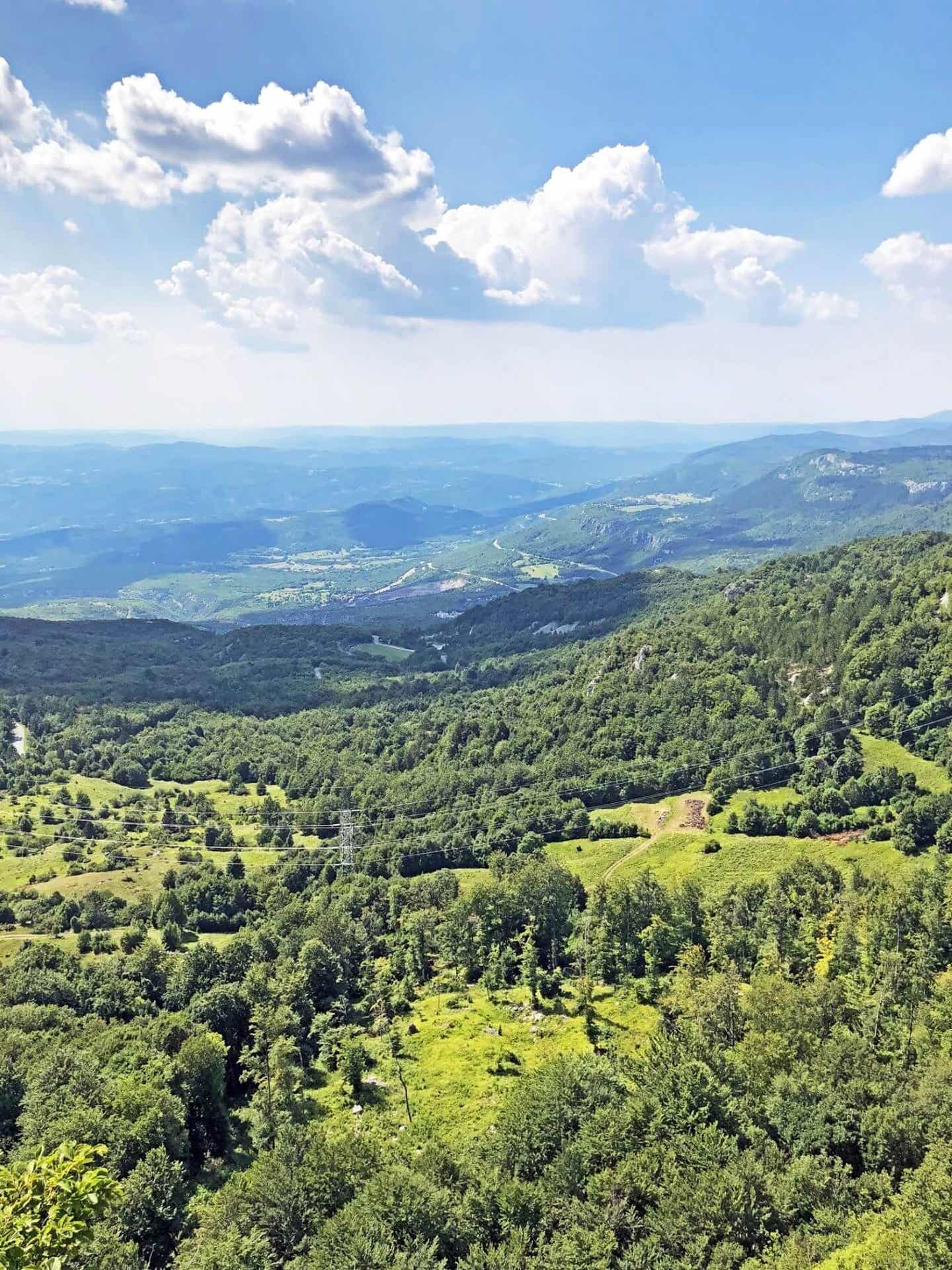 Grüne Wälder auf Porec 