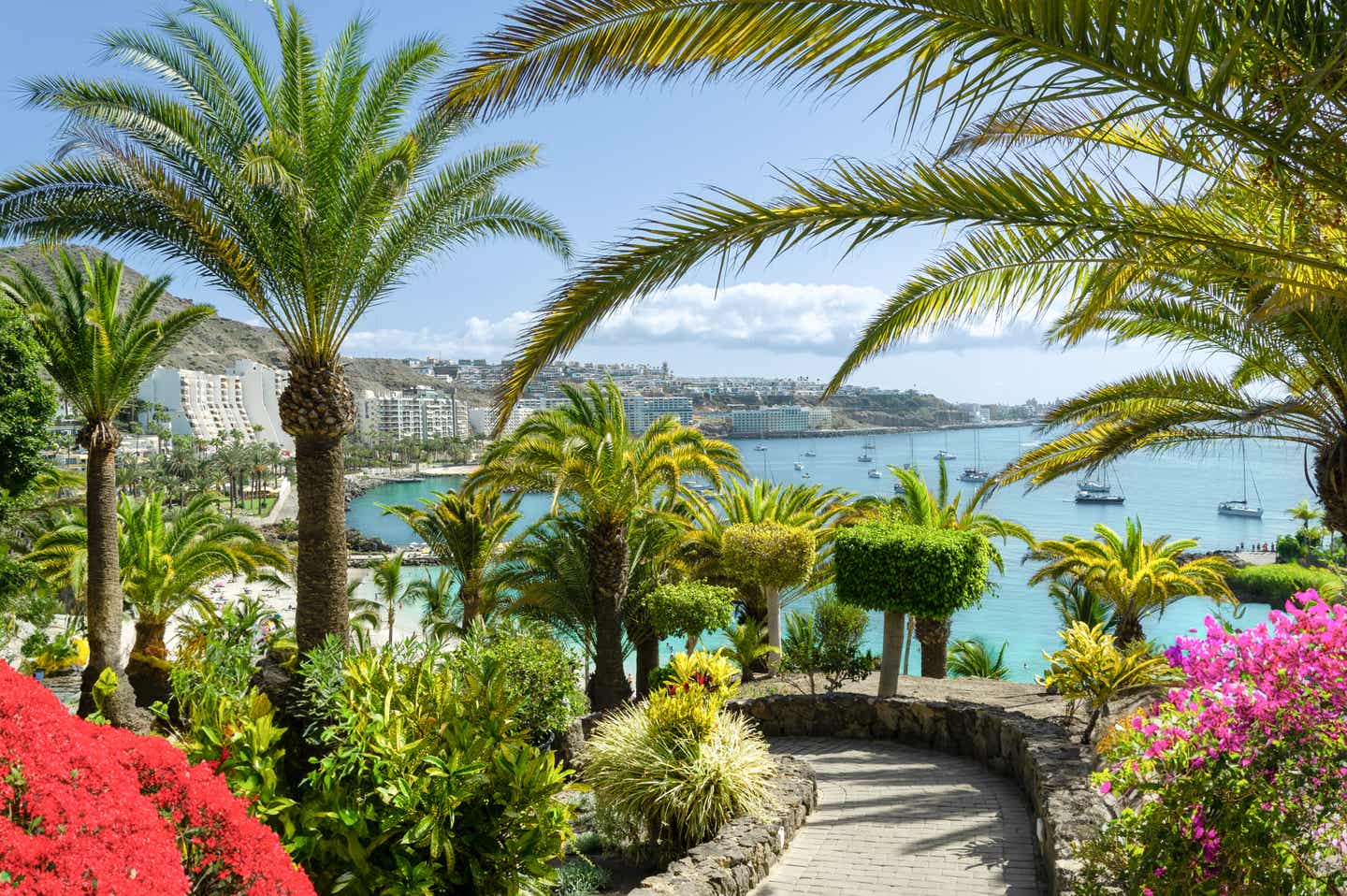 Gran Canaria oder Teneriffa: Blick auf die Promenade von Las Palmas auf Gran Canaria