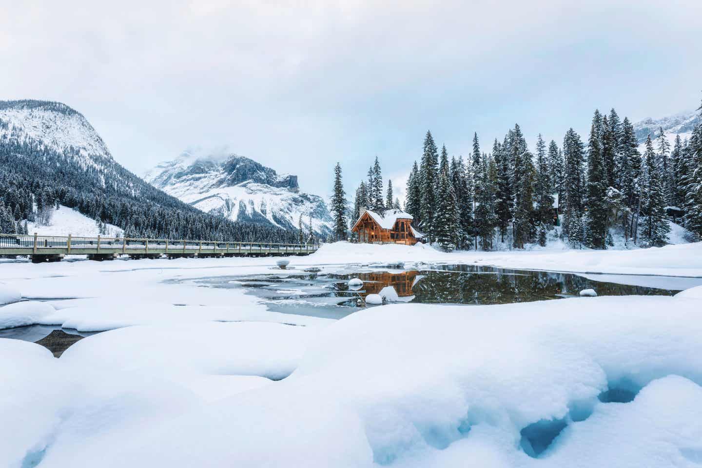 Schneelandschaft in Alberta, Kanada