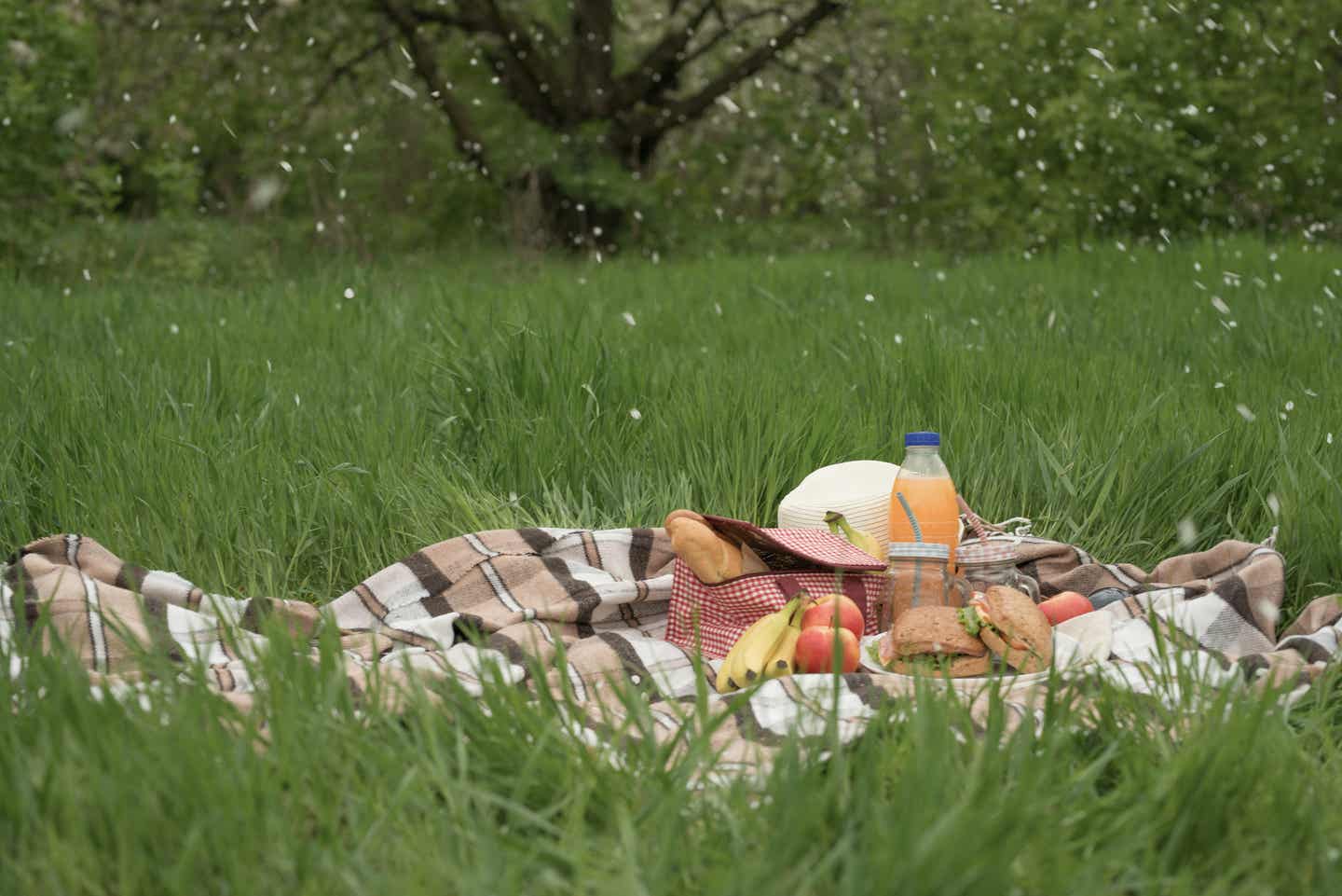 Rhön Urlaub mit DERTOUR. Picknick auf einer Wiese in der Rhön