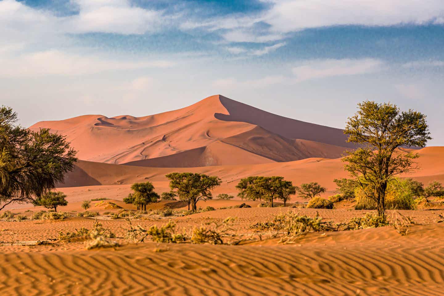 Urlaub in Afrika – Entdecke die Dünen von Sossusvlei