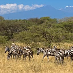Hotels in Simbabwe