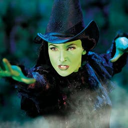 musical-wicked-hexe-f.jpg