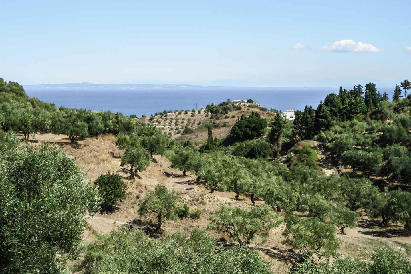 Die Natur auf Zakynthos genießen