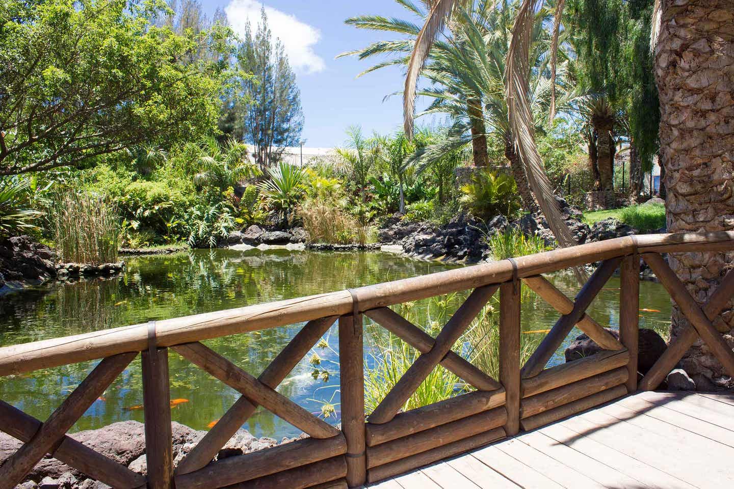 Fuerteventura tropischer Garten Oasis Park mit Blick auf Teich