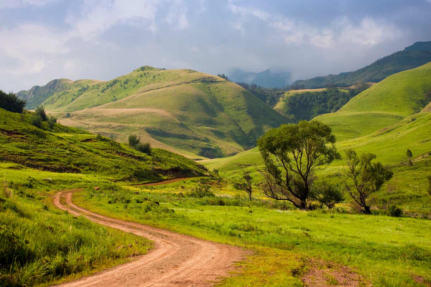 Beste Reisezeit Südafrika: Grüne Hügel in den Drakensbergen