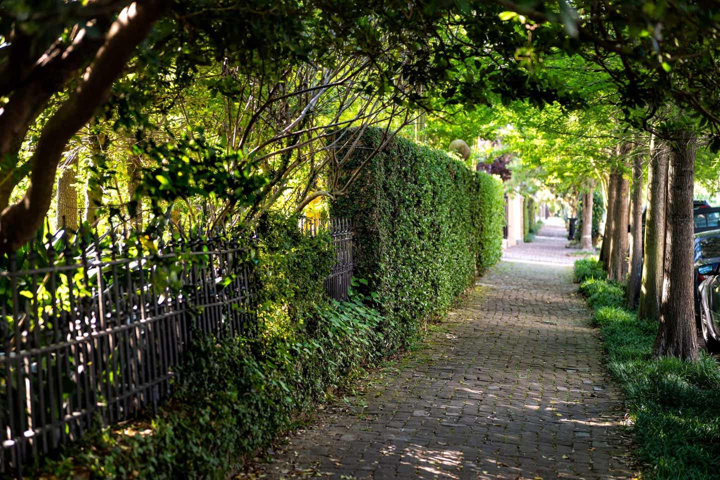 New Orleans Sehenswürdigkeiten: Die Garden Street