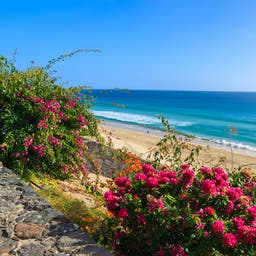 Hotels Morro Jable