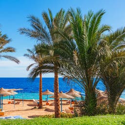 Hotel Sharm-El-Sheikh