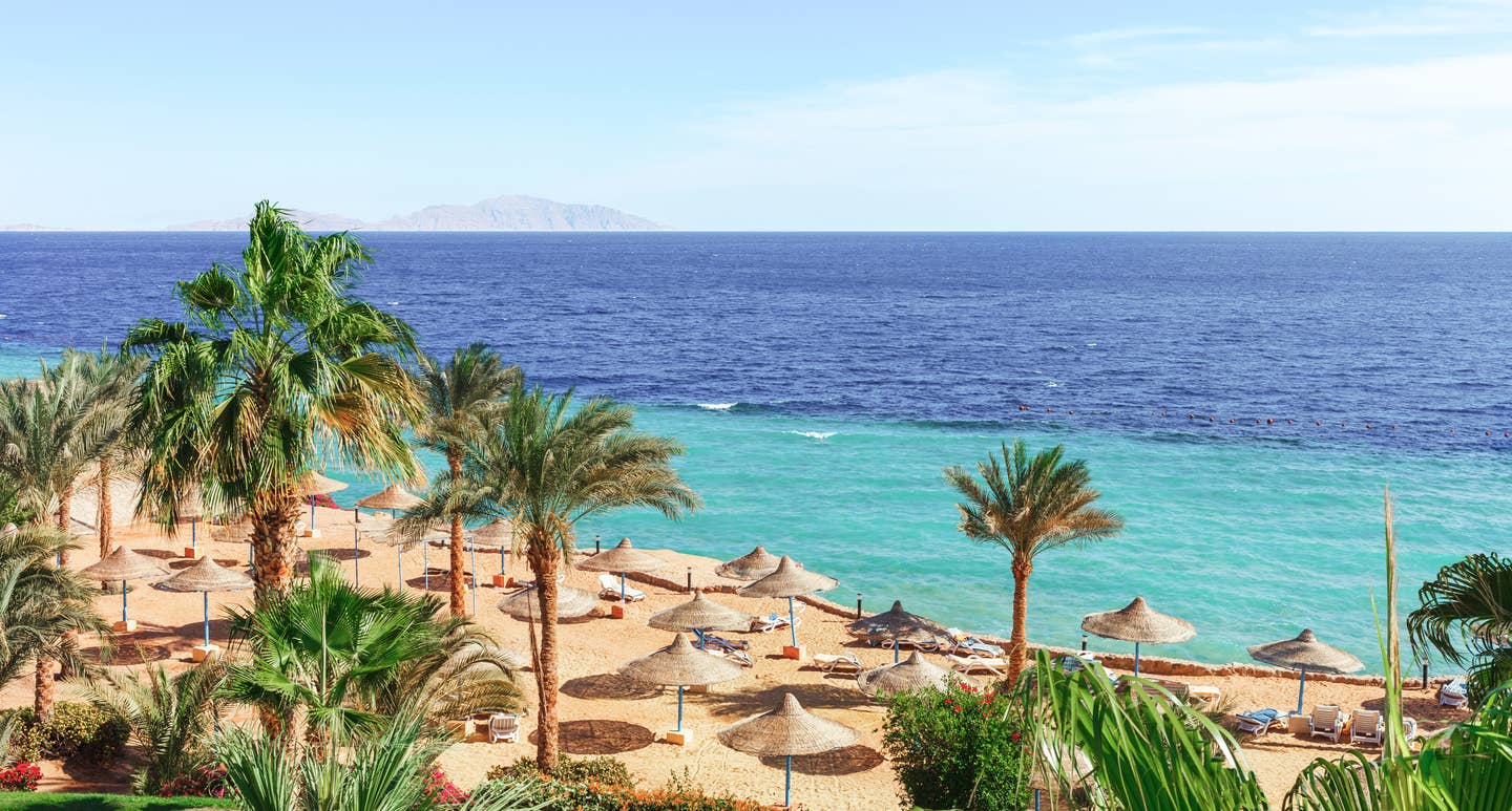 Last Minute nach Ägypten. Strand und Palmen in Ägypten