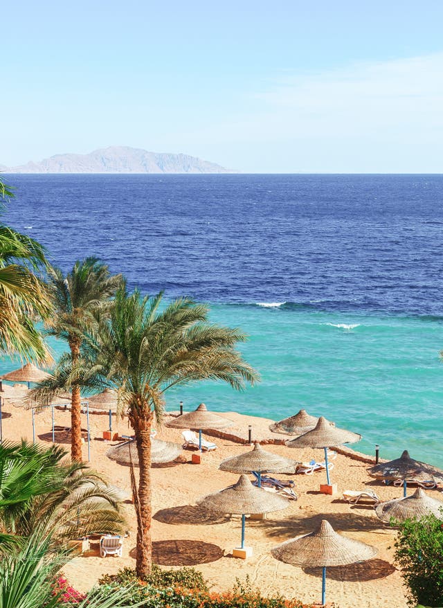 Last Minute nach Ägypten Strand und Palmen am Meer, Ägypten