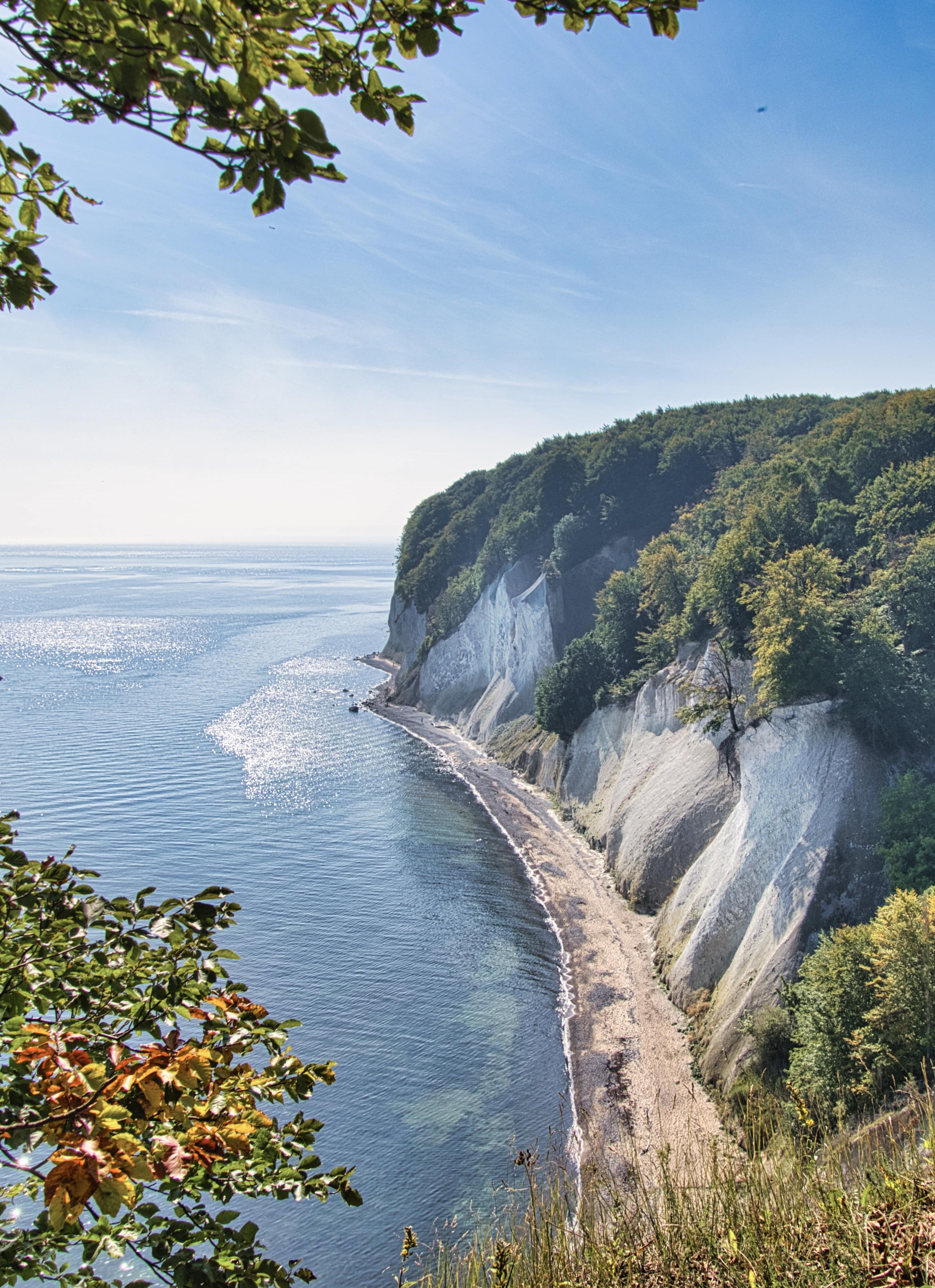 Deutschland Ostsee Kreidefelsen