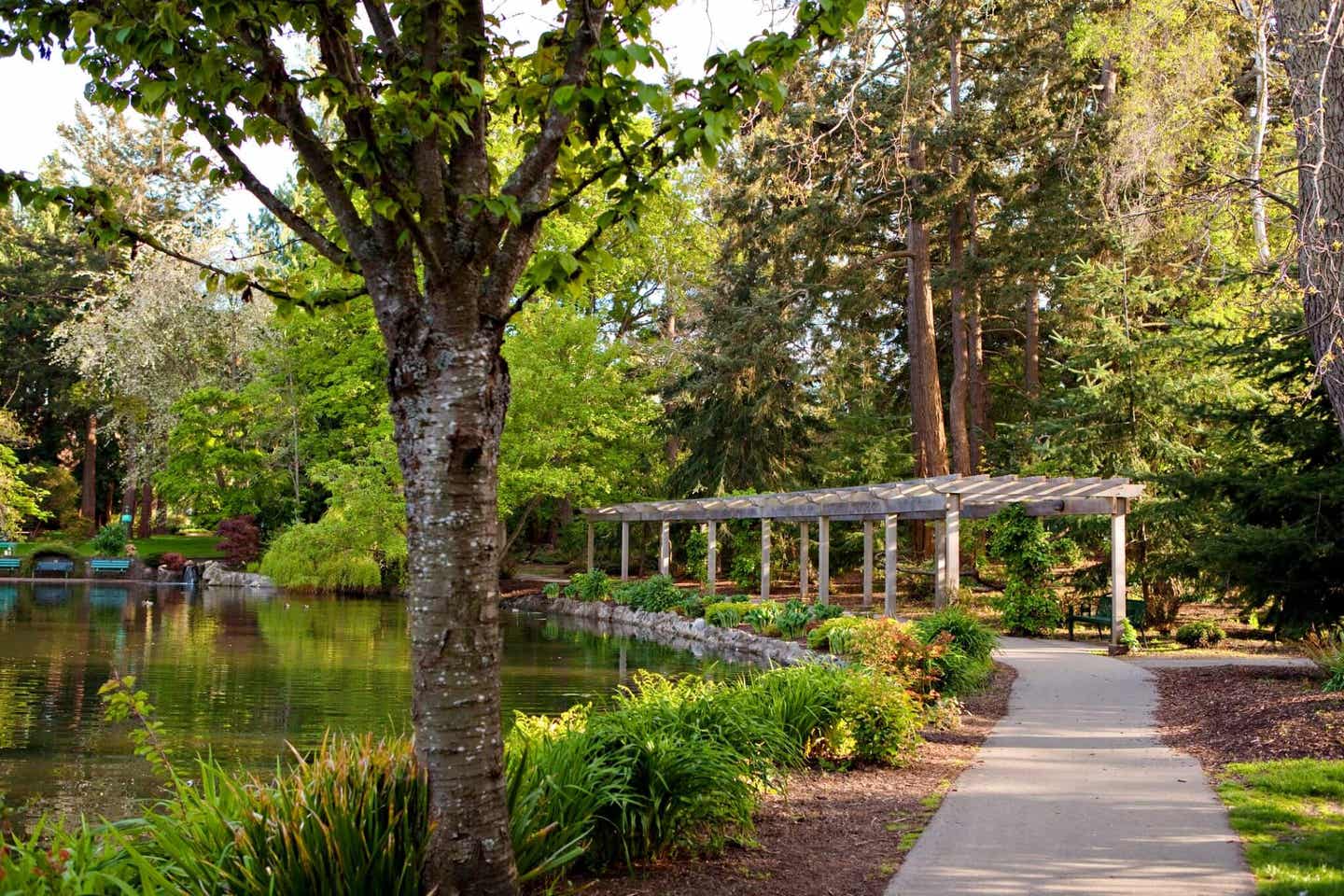 Der Beacon Hill Park in Kanada