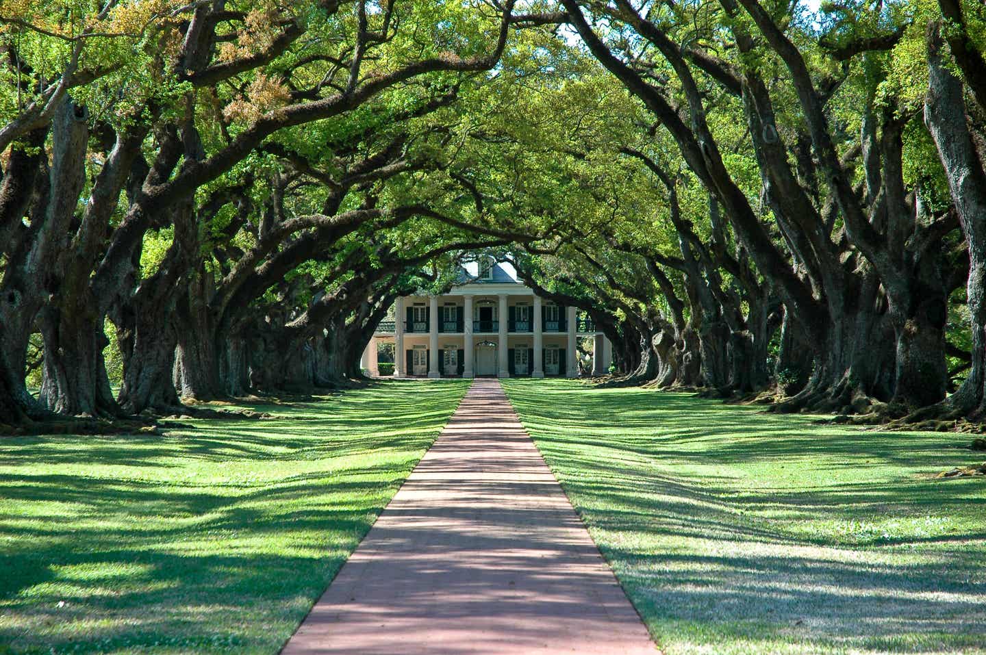 Oak Alley Plantation