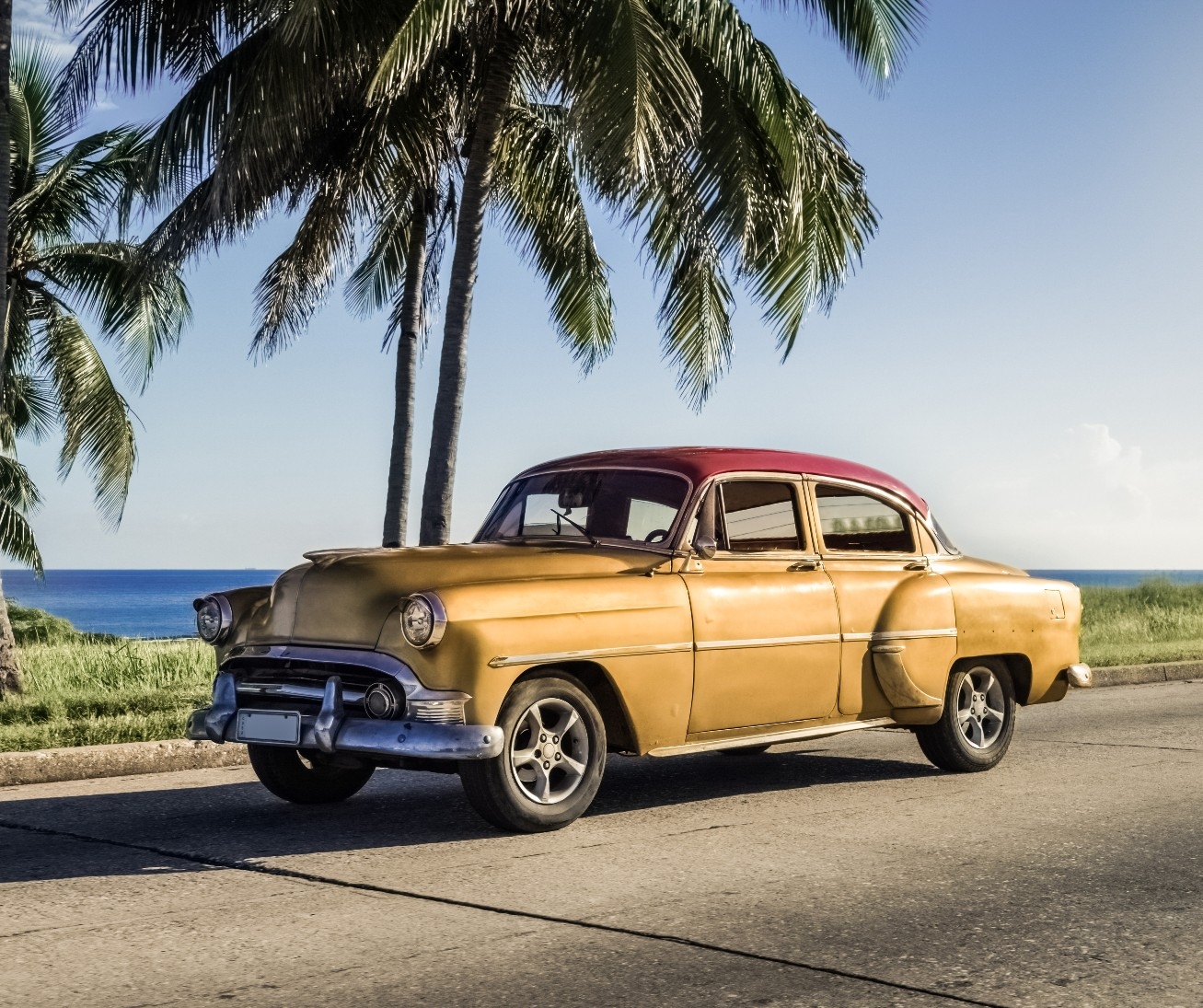 Oldtimer vor Palme in Havanna, Kuba