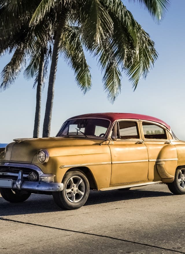 Hotel in der Karibik buchen Oldtimer vor Palme in Havanna, Kuba