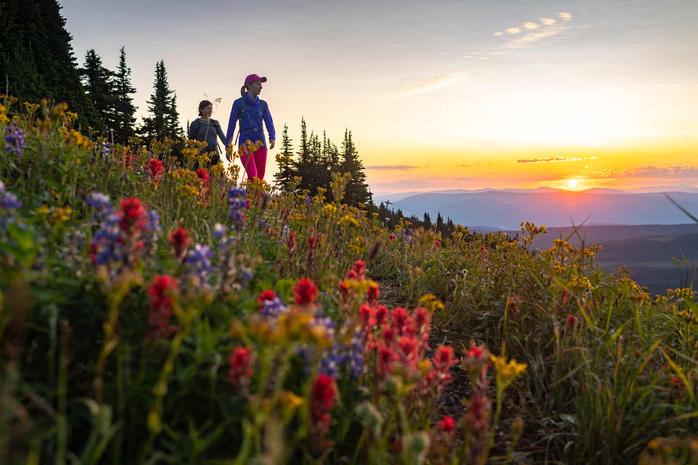 Paar spaziert auf Blumenwiese in Sun Peaks 