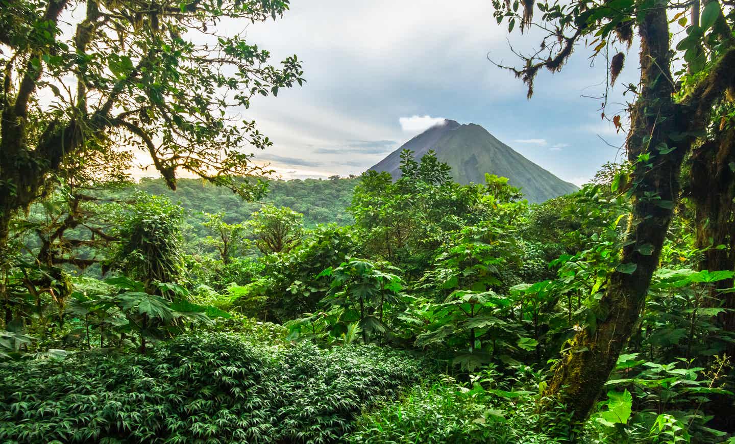 Vulkane und Regenwald in Costa Rica