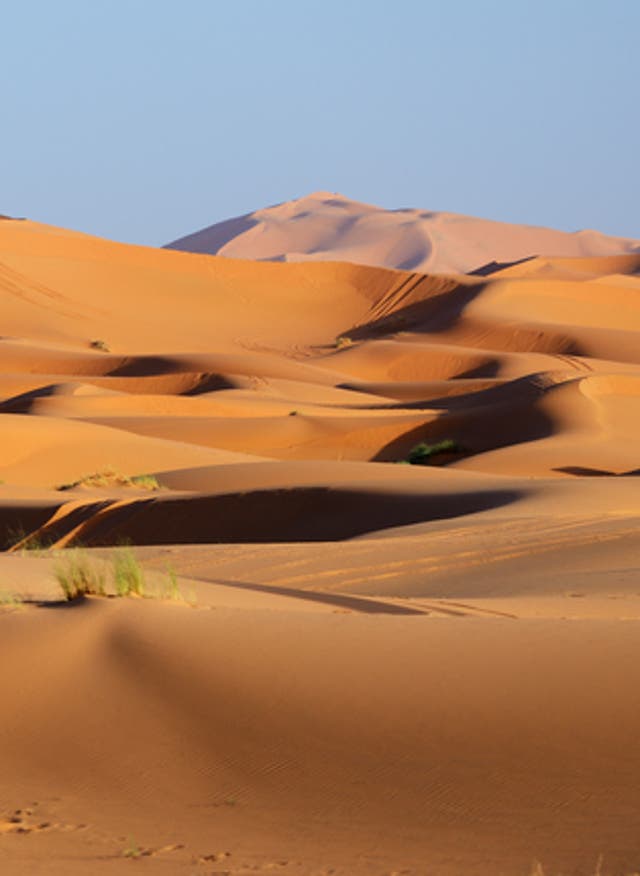 Rundreise buchen Golfreisen Marokko: Sanddünen in der Sahara Wüste