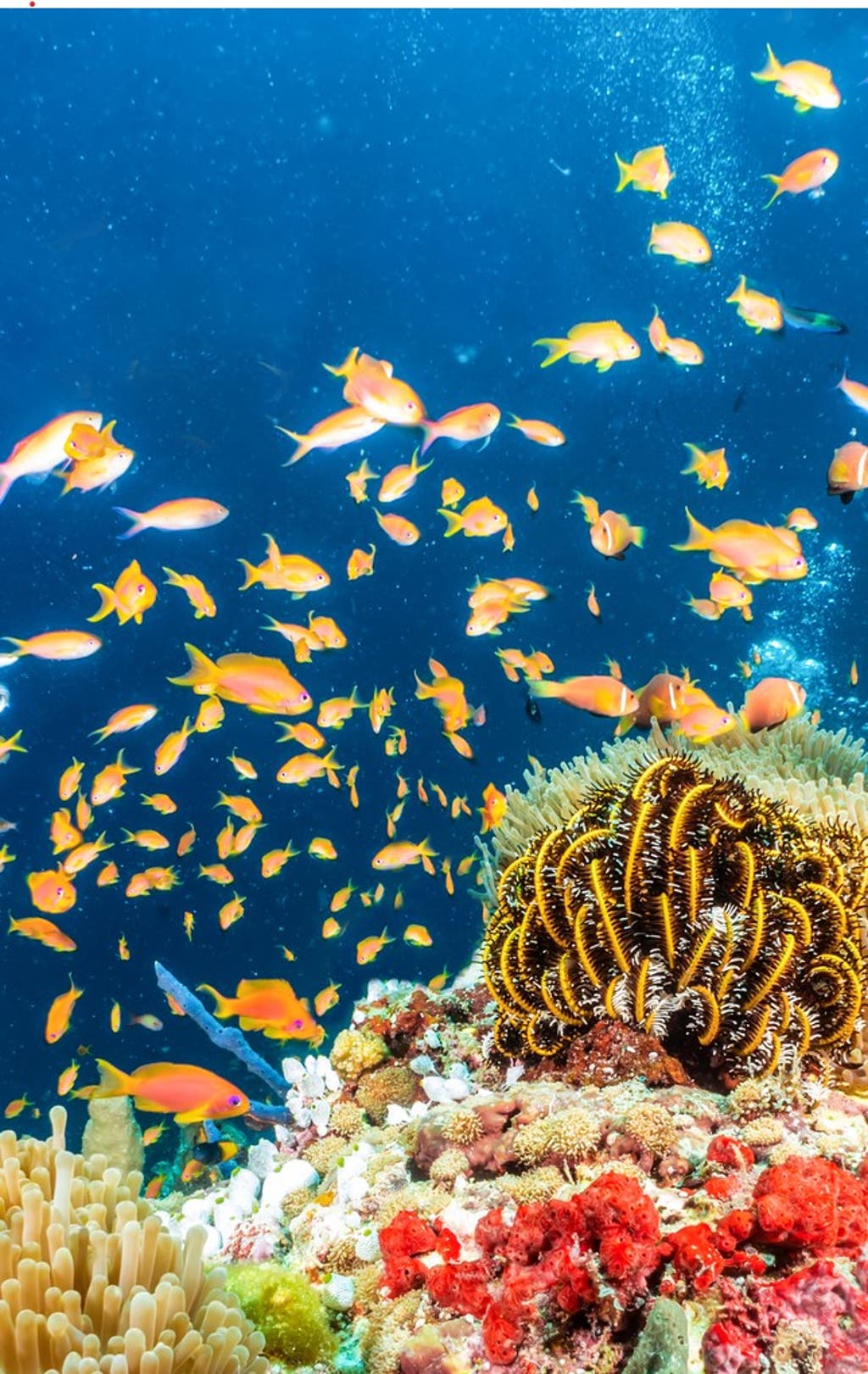 Malediven Beste Reisezeit Alle Infos F r Deinen Traumurlaub DERTOUR Malediven Beste Reisezeit Alle Infos F r Deinen Traumurlaub DERTOUR