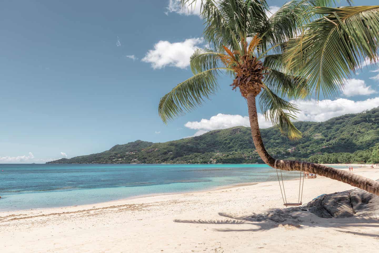 Azurblaues Wasser, feiner Sand und tropische Palmen: Das bietet der Beau Vallon