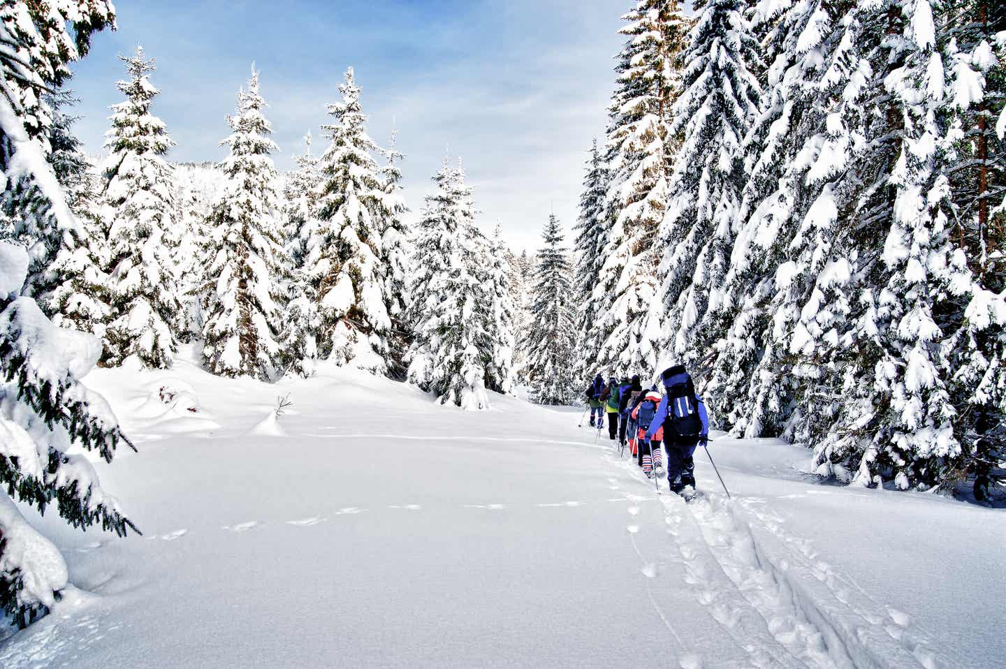 Die beste Reisezeit Norwegens für Schneeschuhwanderungen im Winter