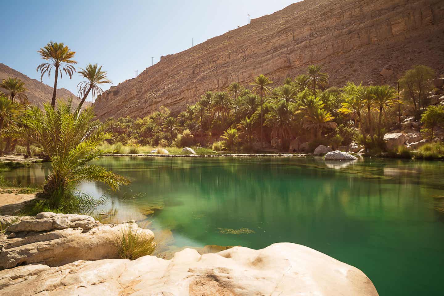 Die Oase im Wadi Bani Khalid im Oman