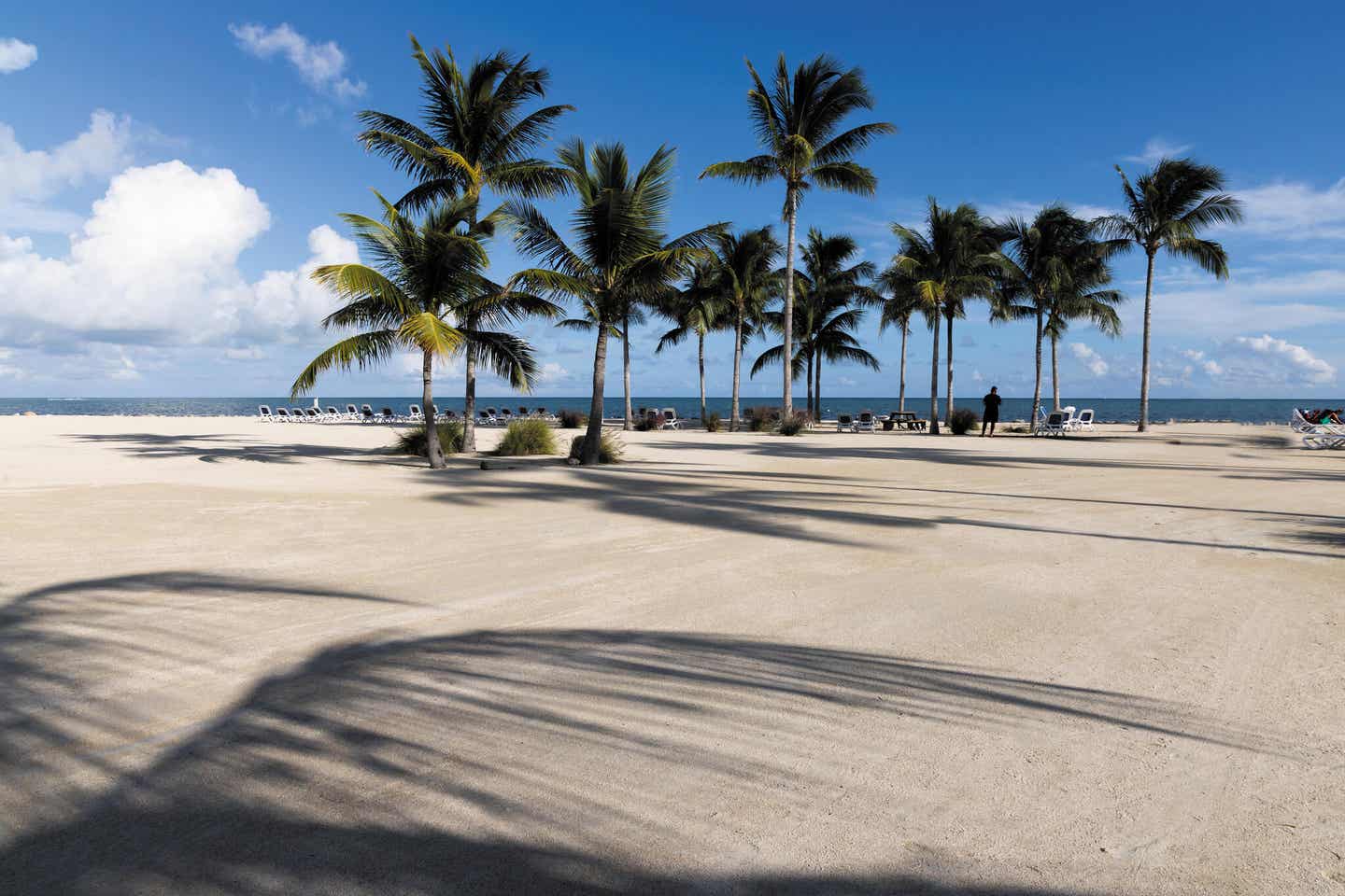 Florida Keys: Strandabschnitt mit Palmen und blauem Himmel