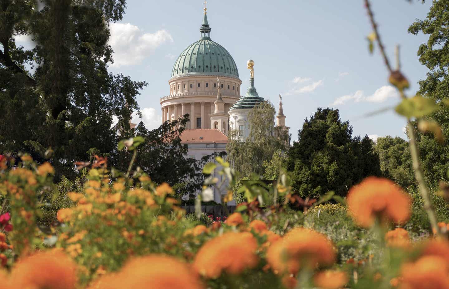 Brandenburg Urlaub mit DERTOUR. Kuppeln von Dom und Altem Rathaus in Potsdam. Davor Blumenwiese