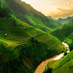 Hotels in Vietnam