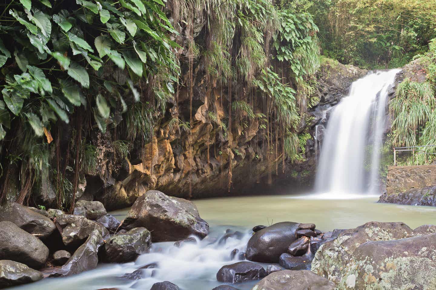 Grenada Urlaub mit DERTOUR. Annandale Wasserfälle im Regenwald Grenadas