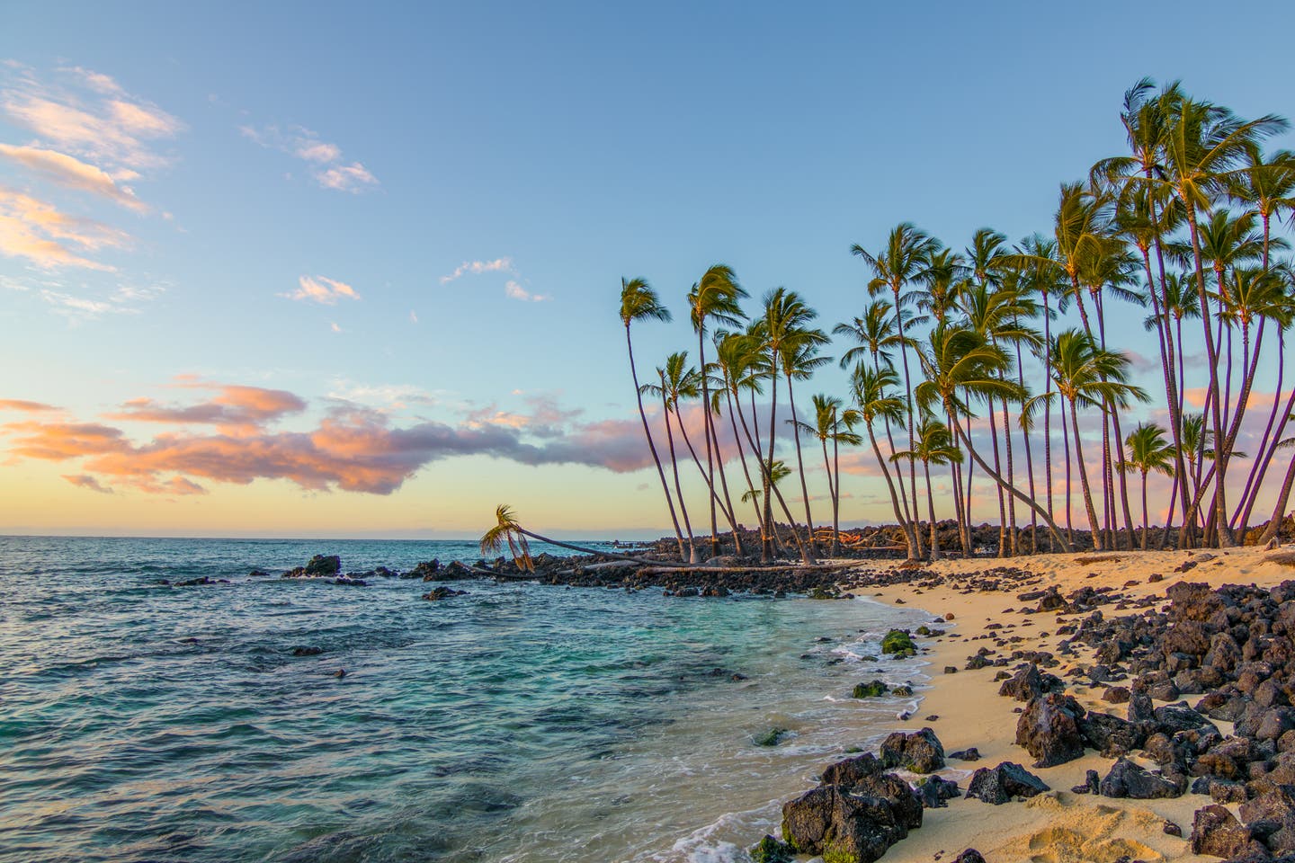 Ein Strand auf Hawaii in der Abendstimmung mit Lavagestein und Palmen im Wind