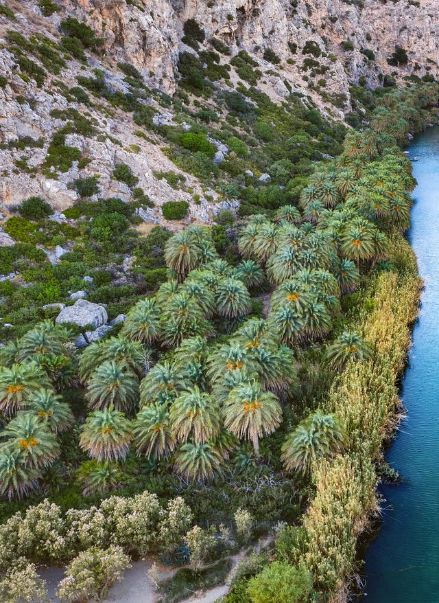 Die schönsten Schluchten Kretas Schönste Schluchten Kreta: Fluss, der durch eine Schlucht führt