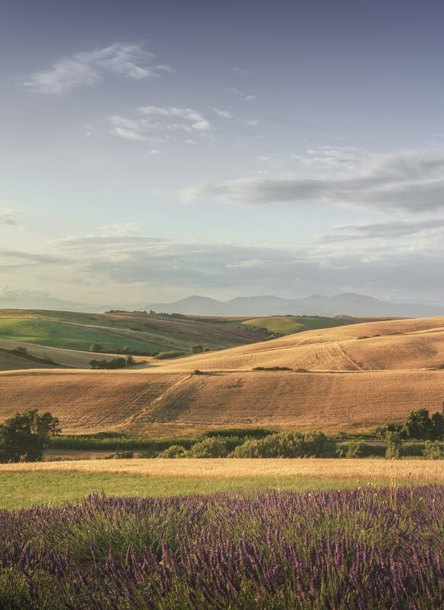 Italien Natur Italien Natur – Panoramablick über Felder bei Santa Luce in der Toskana