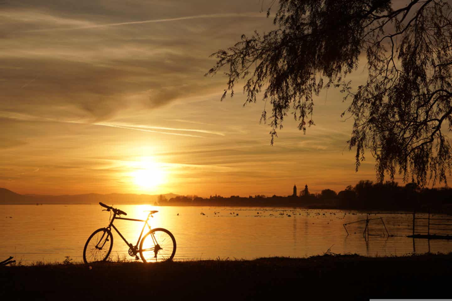 Der Bodensee bietet unzählige wunderschöne Radrouten mit traumhaften Aussichten