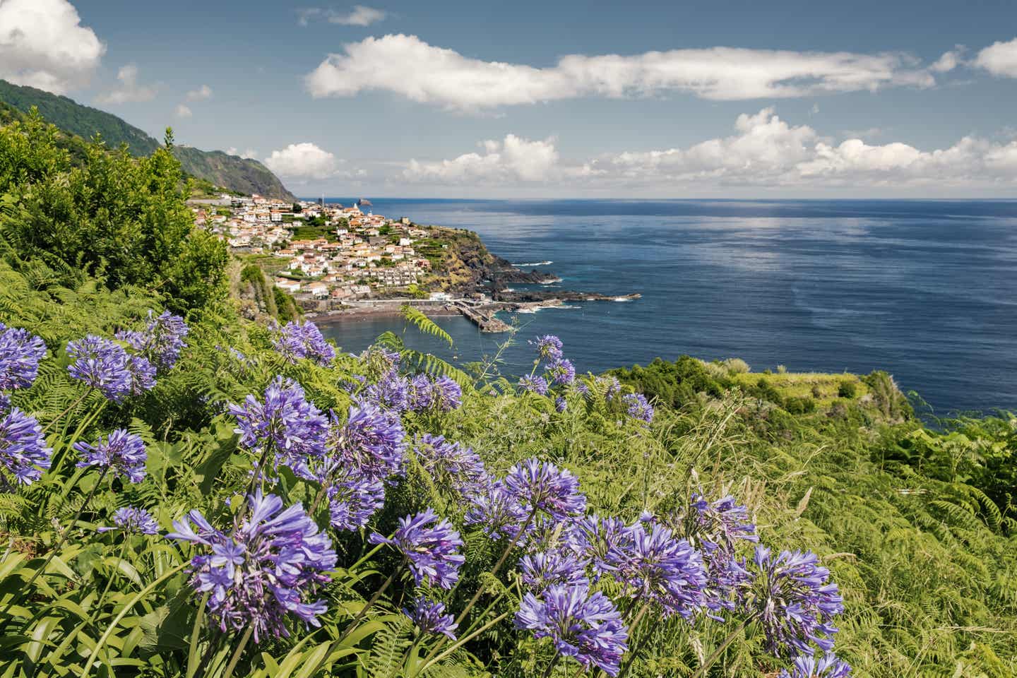 Madeira - Die Blumeninsel im Atlanktik