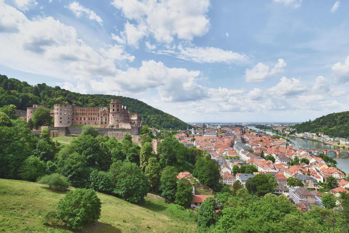 Blick auf das Schloss in Heidelberg