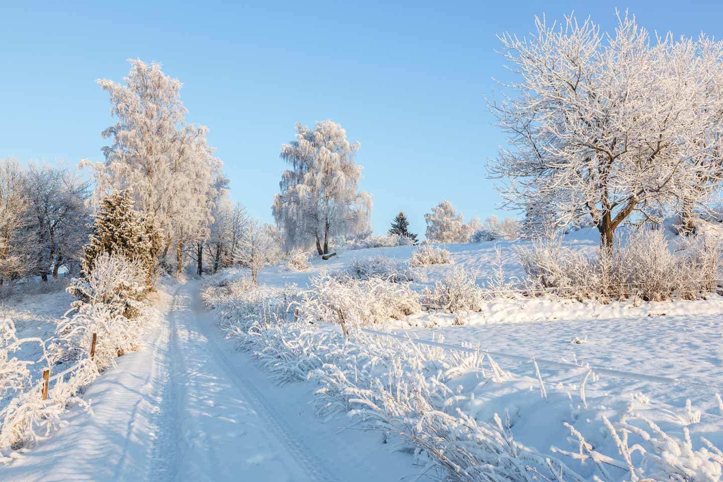 Verschneite Winterlandschaft in Schweden: die beste Reisezeit für Schnee