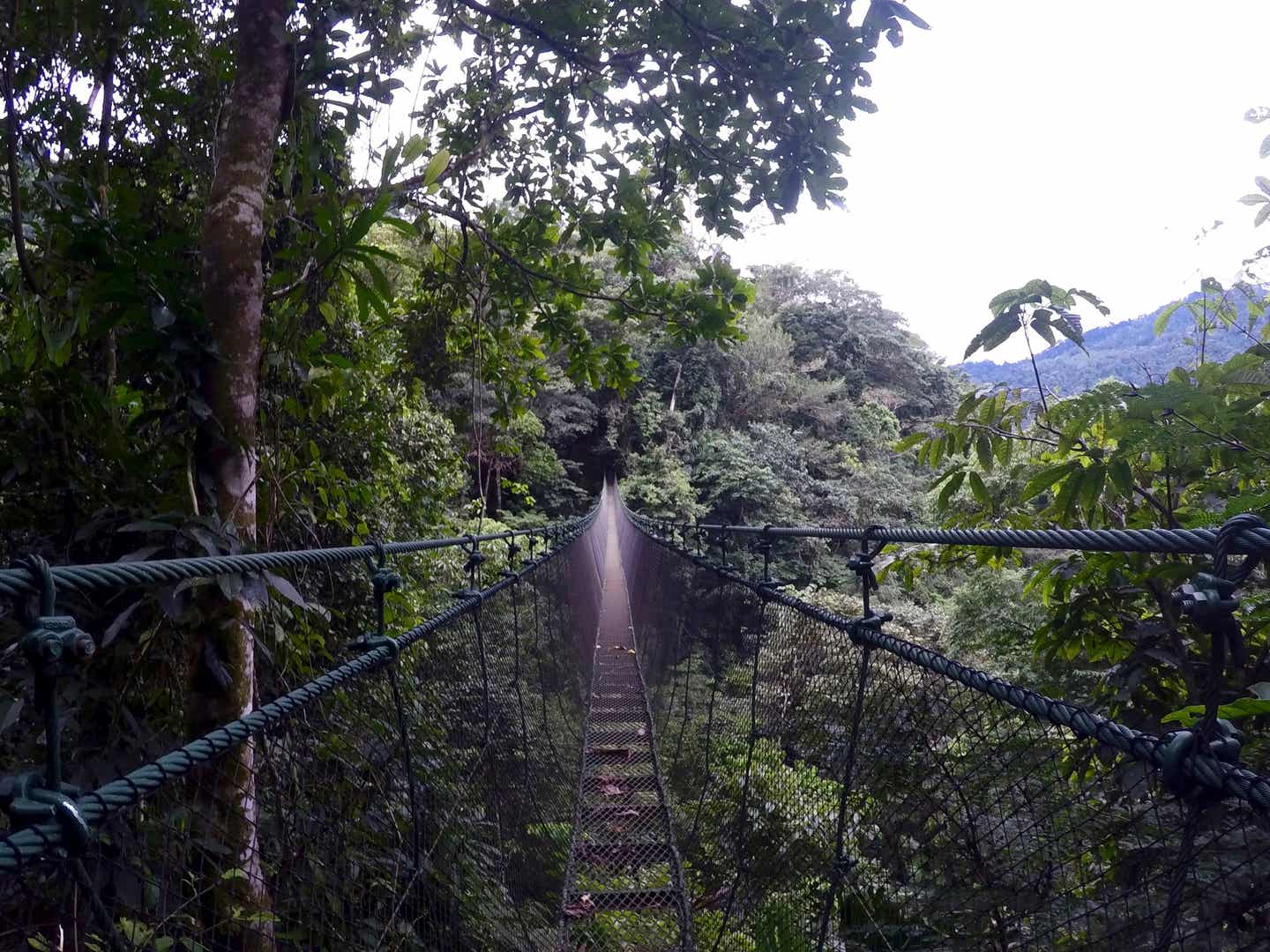 Costa Ricas Tour-Tipps: Wanderung durch die Baumwipfel