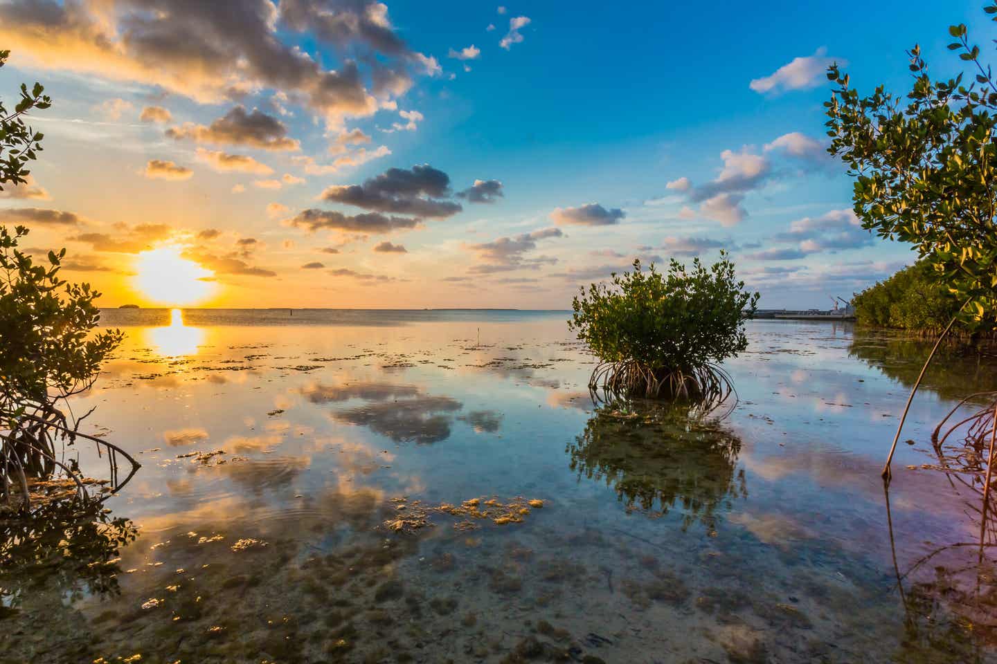 Sonnenuntergang am Key Largo mit Wolkenspiegelung im Wasser