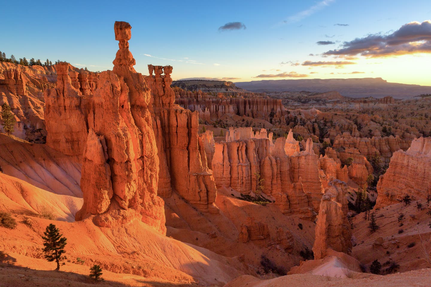 Der Bryce Canyon in Utah im Sonnenaufgang vor klarem Himmel mit einer Wolke entfernt im Hintergrund.