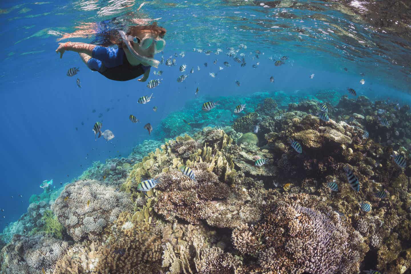 Ägypten Marsa Alam Kind beim Schnorcheln