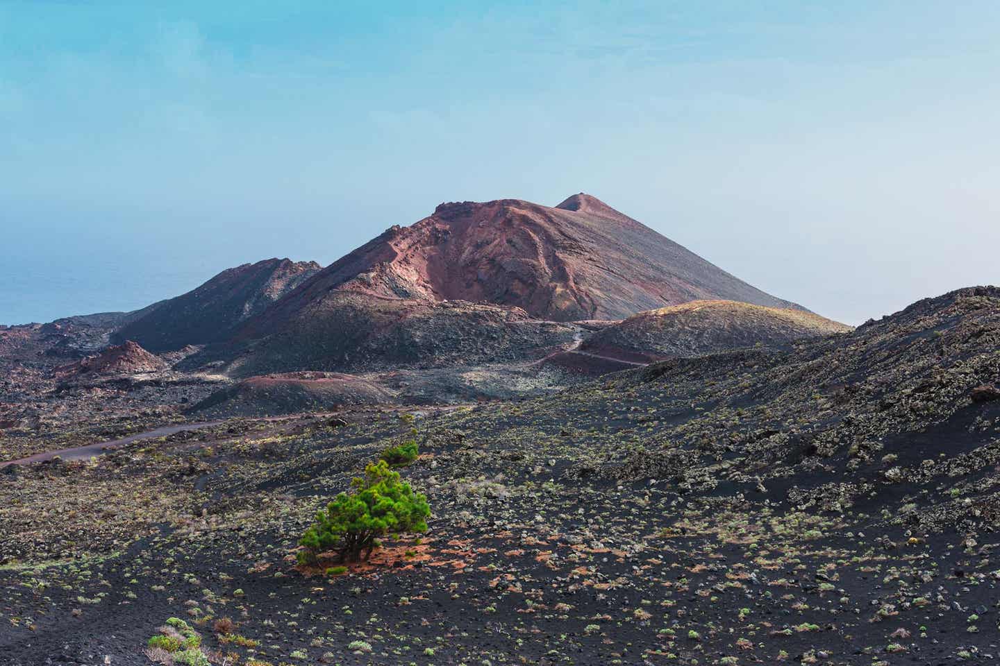 La Palma Volcén de Tenegua Vulkanlandschaft