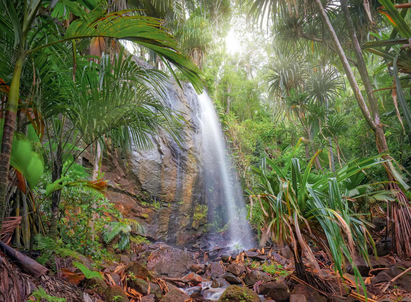 Wasserfall im Regenwaldes auf Praslin