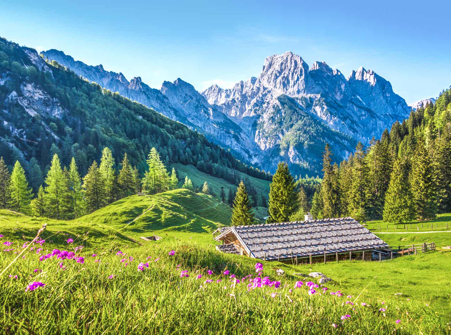 Blick auf eine Alm in den Bergen Österreichs