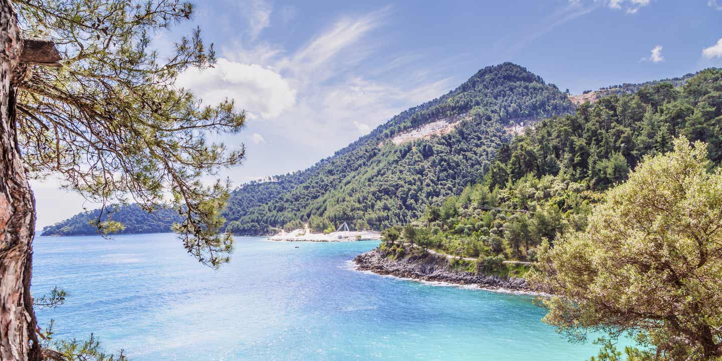 Eine malerische Bucht mit Pinienwäldern auf der Insel Thassos