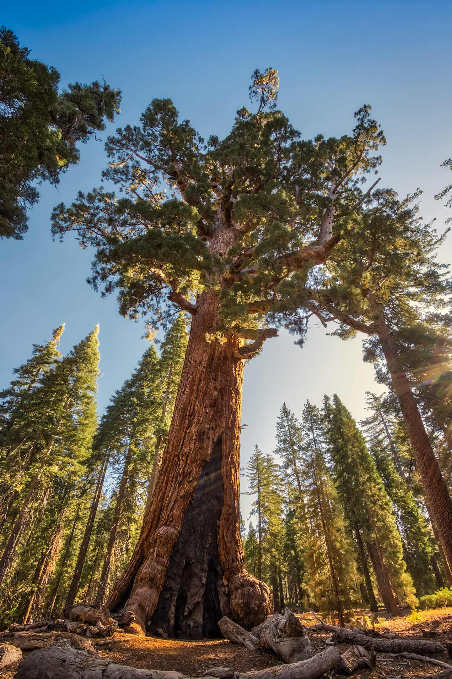 Yosemite Nationalpark, Kalifornien 